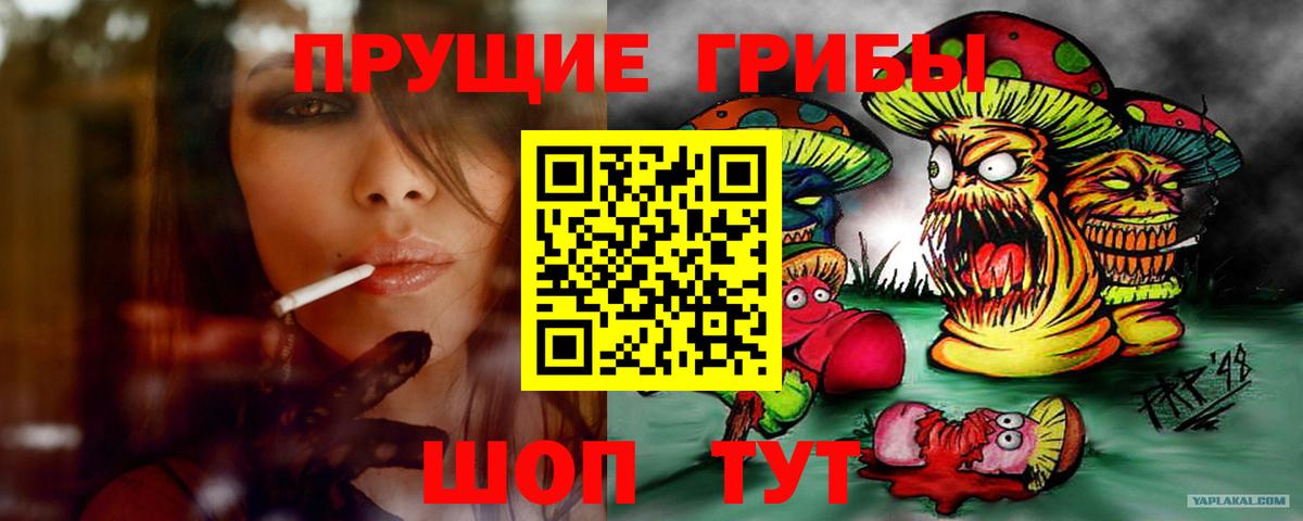 Галлюциногенные грибы GOLDEN TEACHER Кореновск